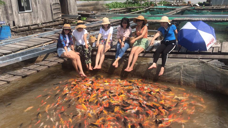 tour xem cá ở cần thơ